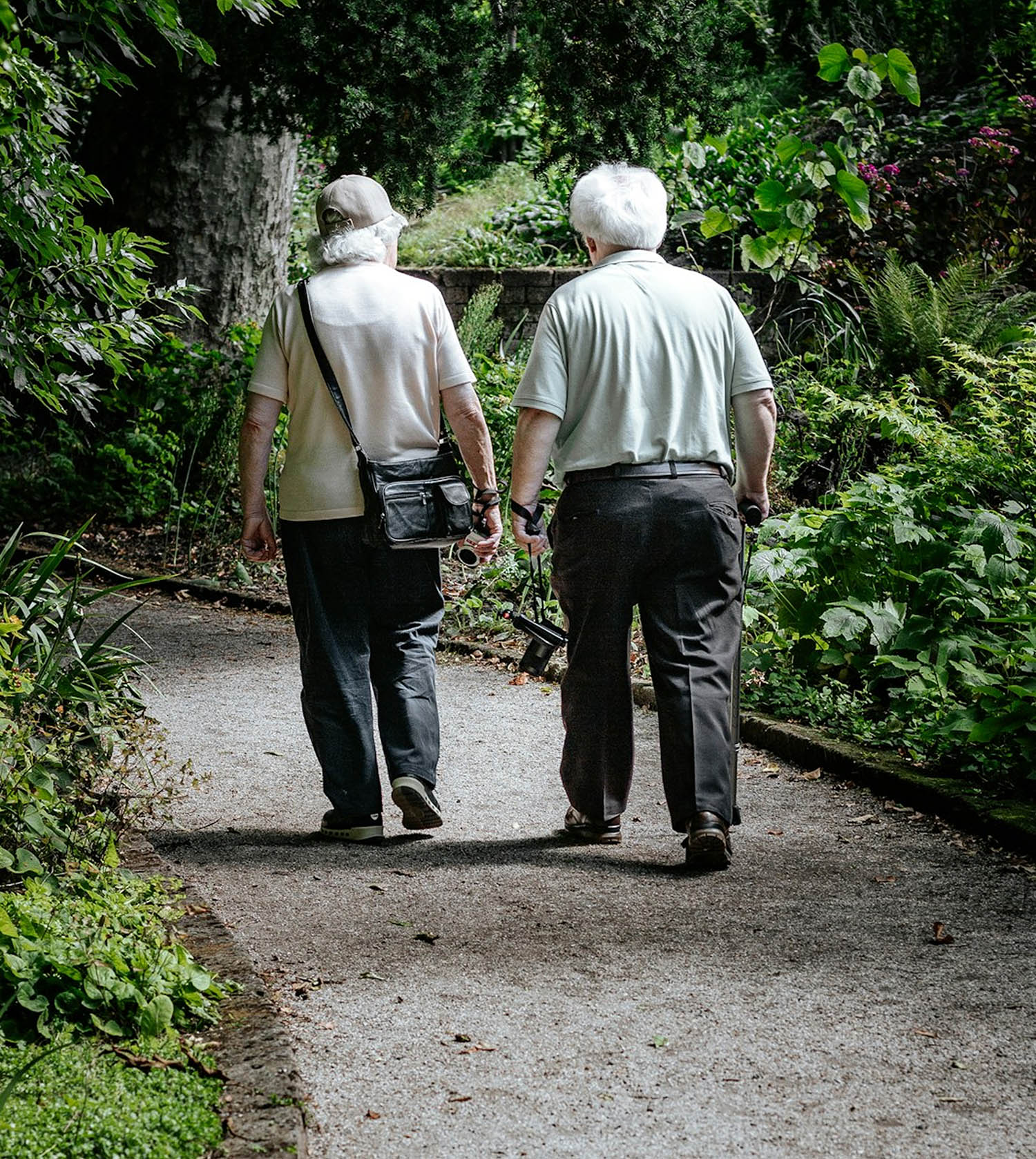 Deux personnes âgées se promènent ensemble dans un parc verdoyant. Deux personnes âgées se promènent ensemble dans un parc verdoyant.